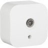 Телевизионная розетка LEGRAND Quteo IP 20 белый 782215
