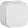 Выключатель LEGRAND Quteo 10 A 250 B IP 20 белый 782200